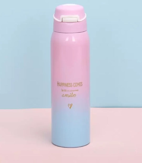 DS Stainless Steel Flask