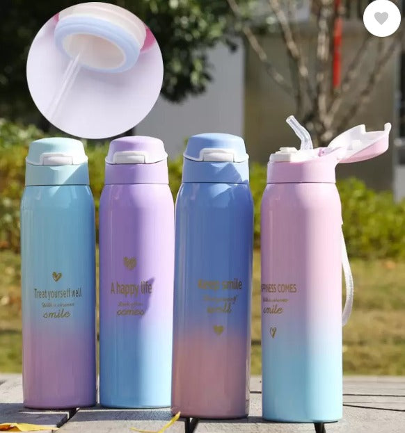 DS Stainless Steel Flask