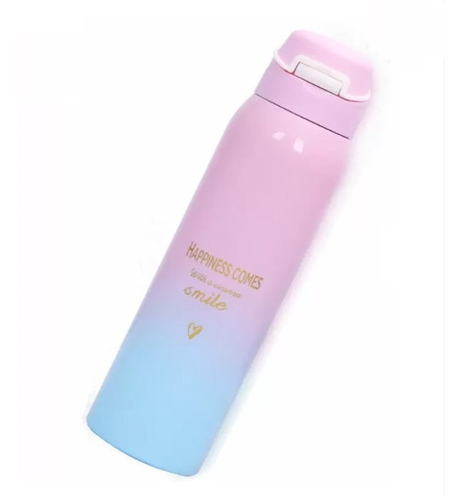 DS Stainless Steel Flask
