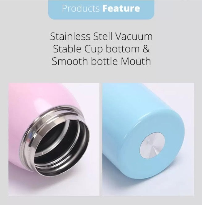 DS Stainless Steel Flask